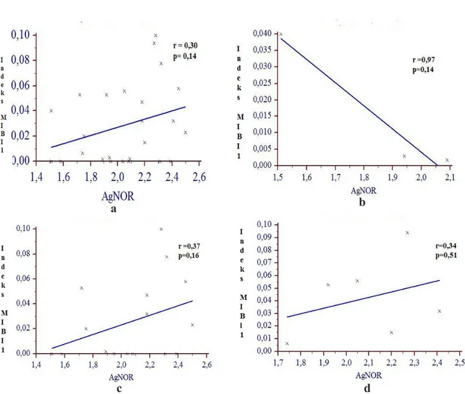 Gambar 3   Korelasi antara nilai AgNOR dan MIB-1 (a) dan dikelompokkan berdasarkan         derajat  diferensiasi berbeda G1 (b) G2 (c), G3 (d)