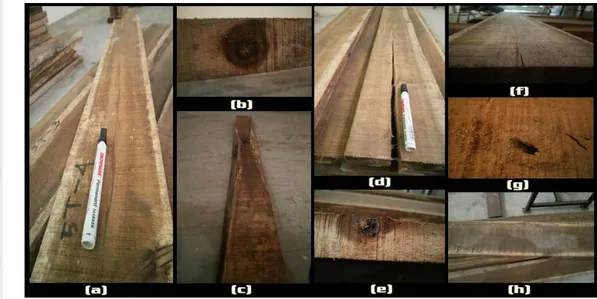 Gambar  4  Contoh  cacat  kayu  yang  ditemukan  (a)  kantung  resin  (b)  mata  kayu sehat (c) pingul (d) pecah (e) mata kayu lepas (f) retak (g)  lubang serangga (h) jamur/pewarna kayu 