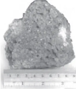 Gambar 1 Batu Vulkanik