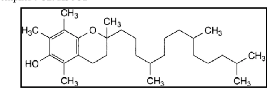 Gambar 6. Struktur kimia α-Tocopherol (Vitamin E) 