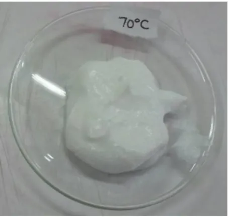 Gambar 12. Organoleptis milk cleanser 70  0 C 