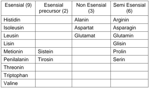 Tabel 2.2: Klasifikasi dan Jenis Asam Amino  Esensial (9)  Esensial precursor (2)  Non Esensial (3) Semi Esensial (6)