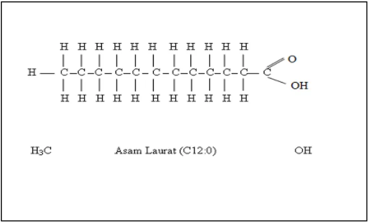Gambar 2.1 Contoh Struktur Kimia Asam Lemak Jenuh 