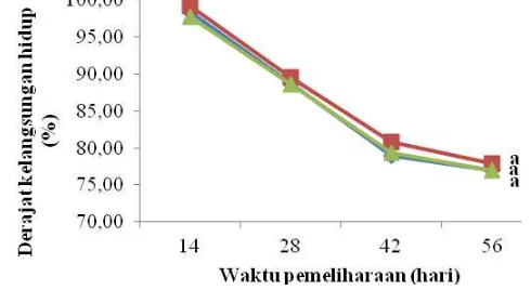 Gambar 1 Grafik derajat kelangsungan hidup ikan sidat Keterangan: Huruf yang sama menunjukkan tidak berbeda nyata (P>0,05) Anguilla marmorata padat tebar (♦) 1, (■) 2, dan (▲) 3 ekor/L yang dipelihara selama 56 hari 