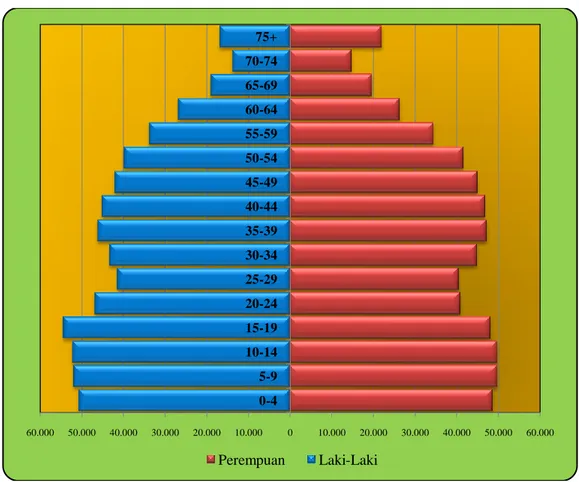 Grafik 2.4   Piramida Penduduk Menurut Jenis Kelamin dan Kelompok Umur   di Kabupaten Magelang Tahun 2015 
