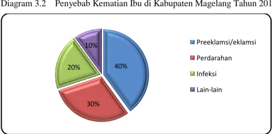Diagram 3.2   Penyebab Kematian Ibu di Kabupaten Magelang Tahun 2015 