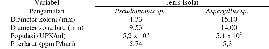 Tabel 1. Karakteristik Pseudomonas sp.  dan Aspergillus sp. (inkubasi 4 hari) 