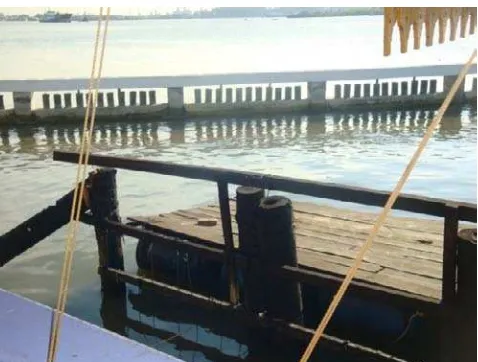 Gambar 1. Lokasi Pengumpanan Contoh uji di Perairan Belawan Medan   