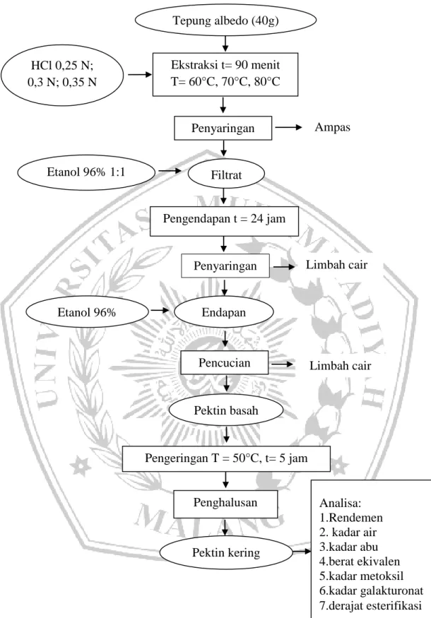Gambar  2.  Diagram  Alir  Ekstraksi  Pektin  (Tuhuloula  dkk.,  2013  dengan  modifikasi)