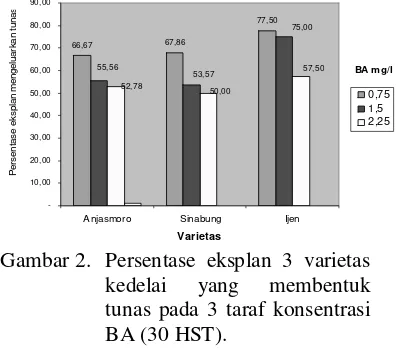 Gambar 2. Persentase eksplan 3 varietas 