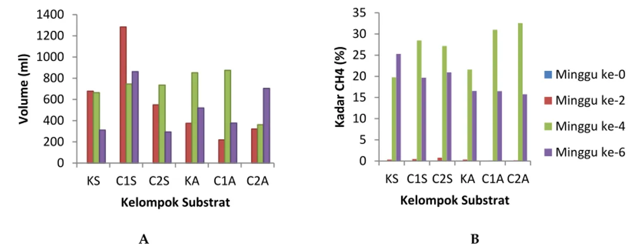 Gambar  1.  Volume  biogas  (A)  dan  kadar  CH 4   (B)  yang  dihasilkan  pada  waktu  inkubasi  minggu  ke-0  sampai 