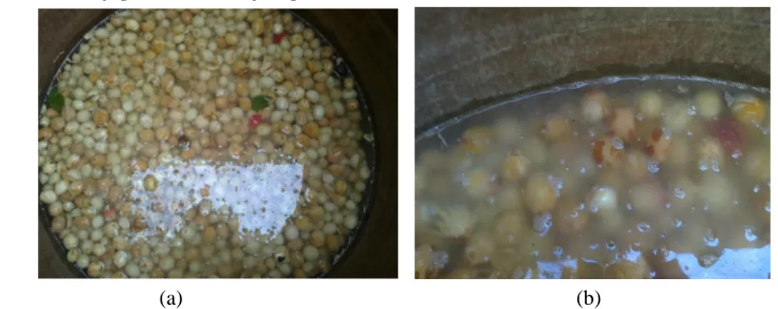 Gambar 10. Air perendaman biji pala: (a) awal perendaman, (b) setelah perendaman setelah 24  jam perendaman 