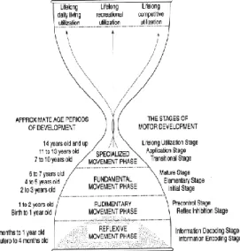 Gambar 1. Fase Perkembangan Gerak  Dasar (Gallahue &amp; Ozmun, 1998) 