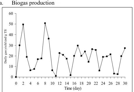 Figure 6. Daily and Accumulation Biogas Production from Cassava starch Effluent using Yeast, Ruminant Bacteria, and Urea in Anaerob 