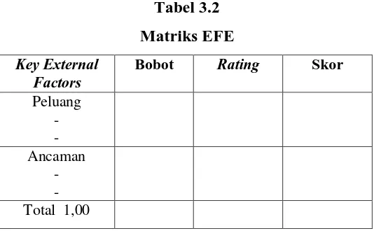 Tabel 3.2 Matriks EFE 