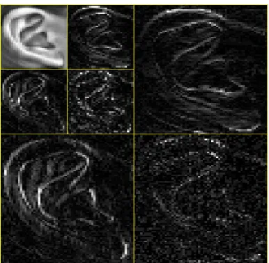 Figure 5. Sample ear images: column a) USTB  ear database, column b) IIT delhi ear database  