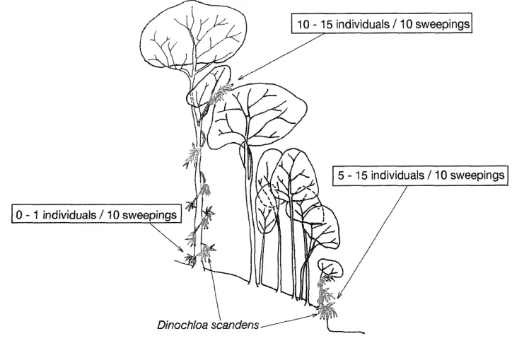 Fig.10.