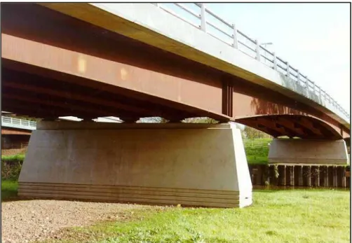 Gambar 2.2 Jembatan multi-girder dengan menggunakan plate girder 