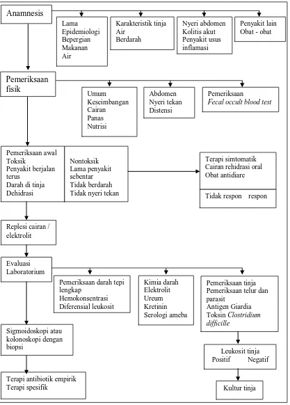 Gambar 2.1.  Algoritma untuk evaluasi pasien dengan diare akut 