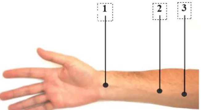 Gambar 3.9.  Posisi elektroda yang mendeteksi sinyal pada otot gerakan fleksi  
