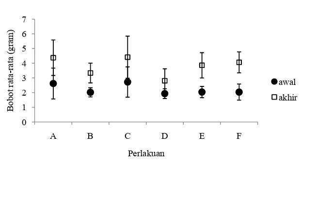 Tabel 2. Pertumbuhan mutlak juvenil ikan kerapu macan selama pecobaan 