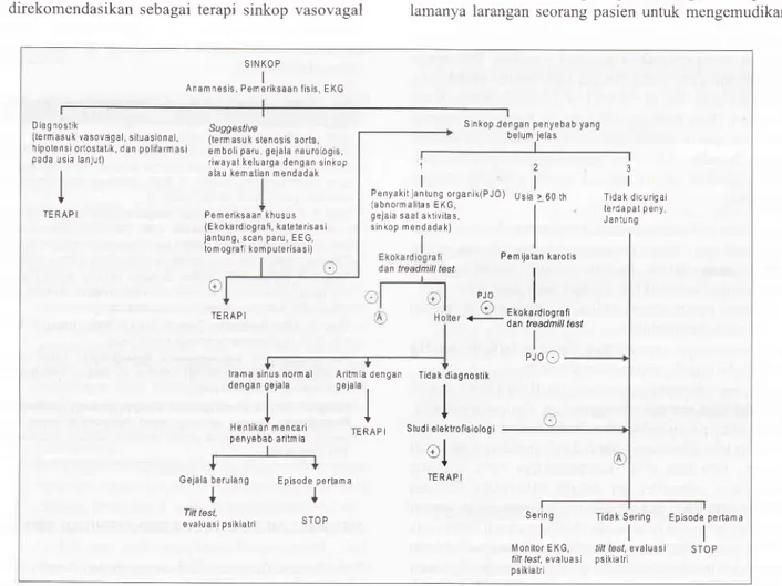 Gambar  1.  Algoriime  Diagnostik  Sinkop  (Sumber:  Linzer  M,  et  al,  Ann  lntern Med