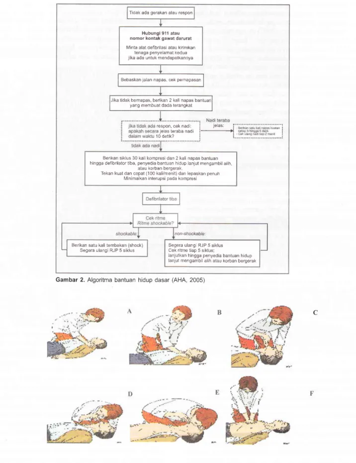 Gambar  2. Algoritma bantuan hidup dasar  (AHA,  2005)