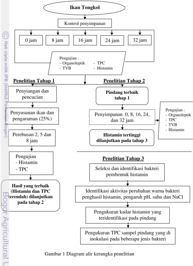 Gambar 1 Diagram alir kerangka penelitian Ikan Tongkol 