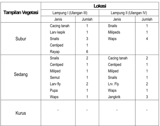 Tabel 5.   Hasil Pengamatan Fauna Tanah Menggunakan Metoda  Hand sorting  dalam Luasan  Monolit 1 x 1m 2  pada lokasi pengamatan Lahat  Sumatera Selatan 