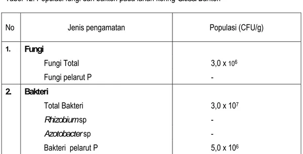 Tabel 12. Populasi fungi dan bakteri pada lahan kering Ultisol Banten 
