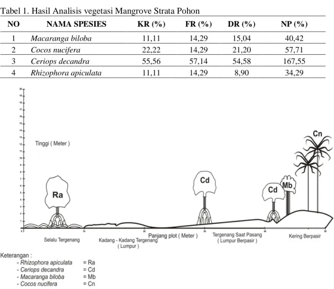 Diagram Profil Vegetasi Mangrove Strata Pohon   Tabel 1. Hasil Analisis vegetasi Mangrove Strata Pohon  