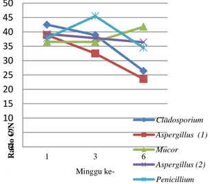 Gambar 4.3  Grafik Rasio C/N minggu awal,  minggu ketiga, dan minggu akhir  pengomposan