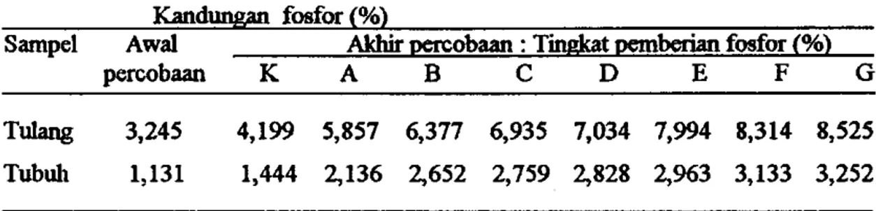 Tabel 7. Rata-rata kandungan fosfor (dalam %) pada tulang dan tubuh ikan  Kandxmgan fosfor (%) 
