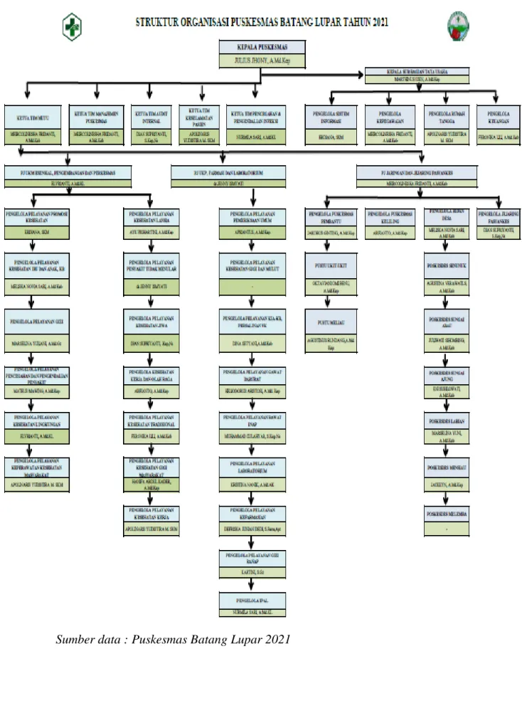 Gambar 2.1 Struktur Organisasi Puskesmas Batang Lupar 