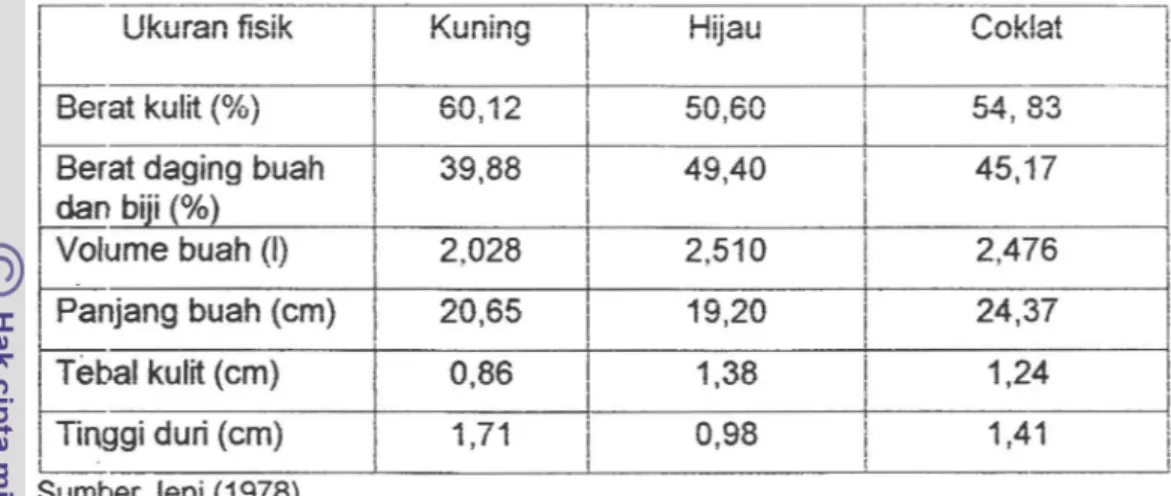 Tabel 2.2.  Ukuran fisik buah durian  kultivar Rancamaya Kuning,  Hijau dan  Coklat 