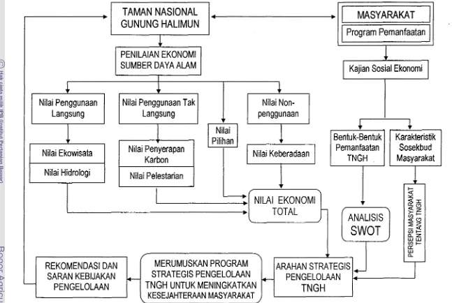 Gambar 1. Skema Kerangka Pemikiran Penelitian 