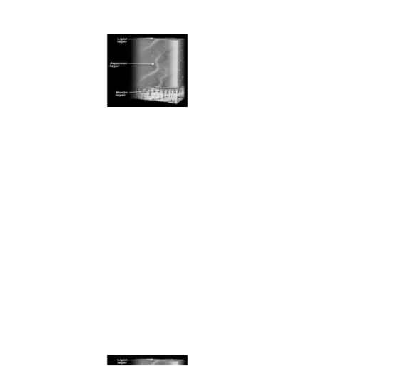 Gambar 2. Lapisan airmata yang terdiri dari 3 lapis