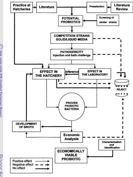 Gambar 1. Diagram seieksi balded probiotik untuk pemeliharaan larva hewan dan 