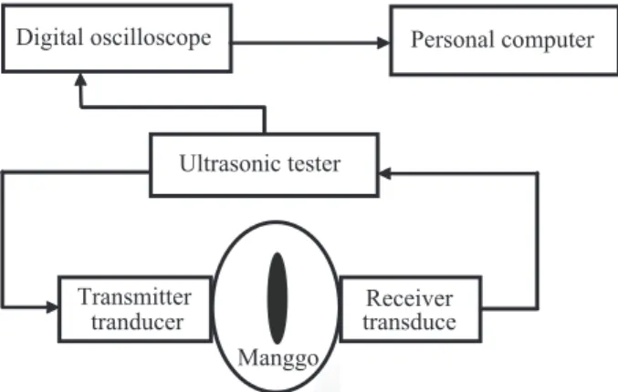 Figure 1. Ultrasonic measurement