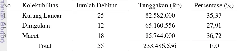 Tabel 13  Kolektibilitas kredit mikro sektor perdagangan dan jasa tahun 2012 