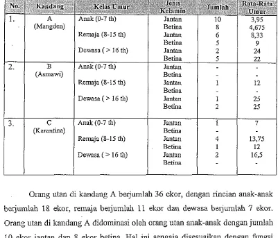 Tabel. 4. Orang Utan di Kebun Binatang Ragunan Jakarta menurut Kelas Umur 