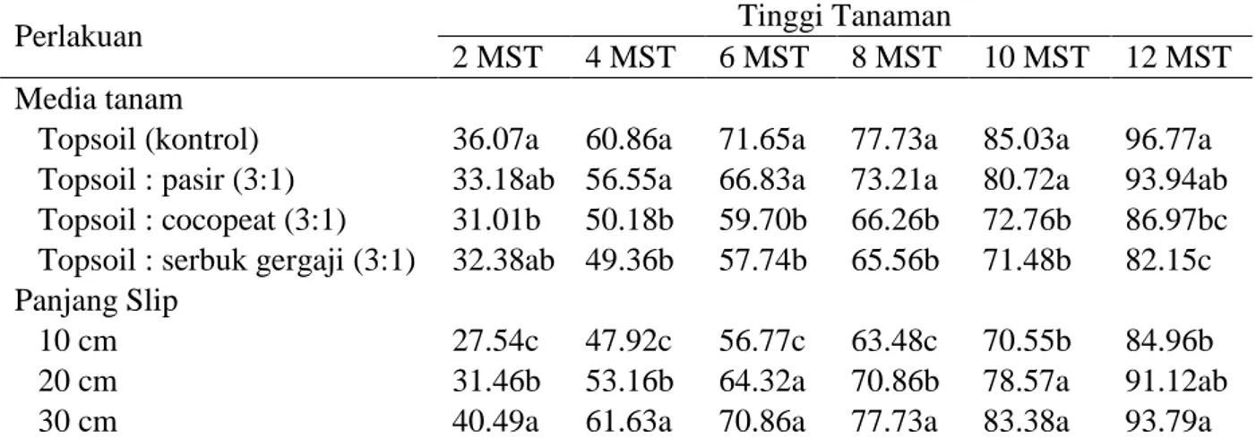 Tabel 1. Rataan tinggi tanaman (cm) pada perlakuan media tanam dan panjang slip bahan tanaman  serta interaksinya pada pengamatan 2 - 12 MST 