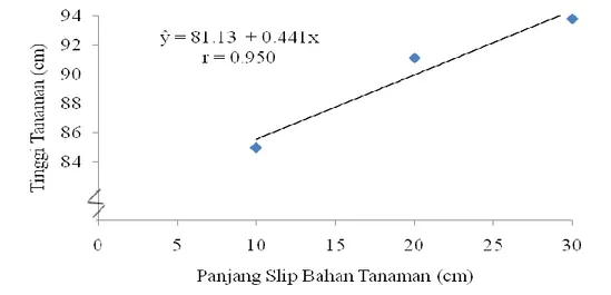 Grafik hubungan panjang slip bahan tanaman dengan tinggi tanaman dapat dilihat pada Gambar 1