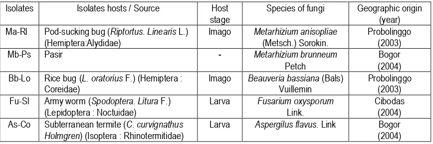Table 1. Species of entomopathogenic fungus originated from some inoculum sources in Java island