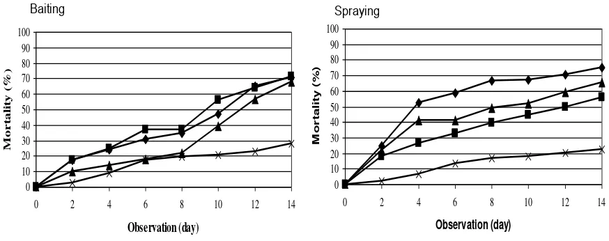 Figure 2. Bioassay of secondary metabolite extract Humicola sp. adding with colloidal chitin to medium
