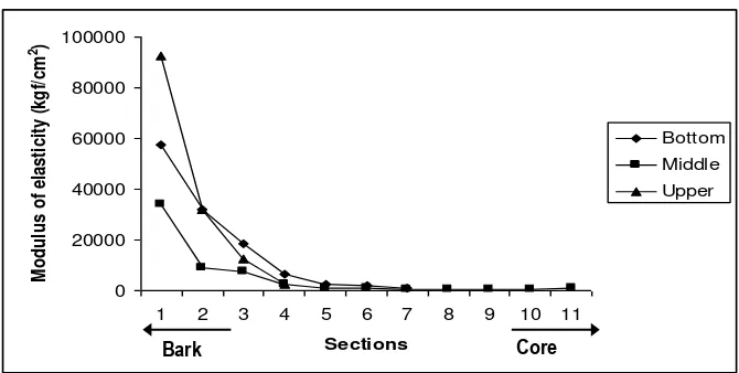 Figure 4. Shrinkage of Gewang stem at depth and height stem variation. 