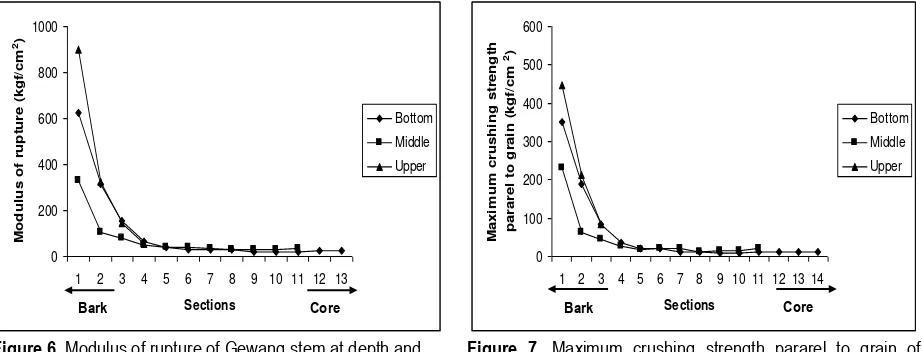 Figure 7. Maximum crushing strength pararel to grain of Gewang stem at depth and height stem variation