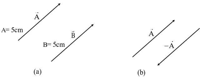 Gambar  2.12 : (a) Kesamaan vektor A dan B  (b) Vektor Aberlawanan dengan A