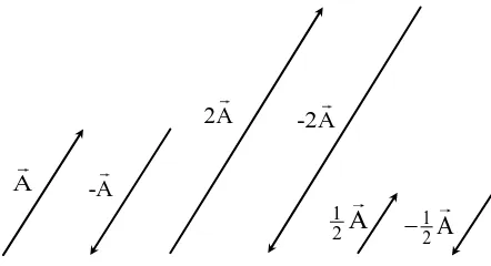 Gambar 2.13: Perkalian vektor Adengan skalar  k = -1, 2, 1/2, -2, dan -1/2 