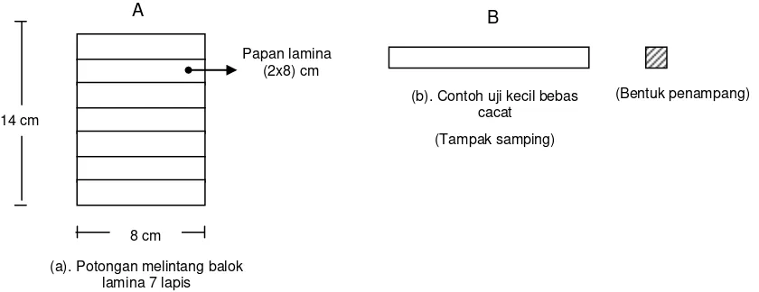 Gambar 4  Profil balok kayu lamina (A), dan balok kayu utuh (B) untuk pembanding sifat-sifat balok I-joist (tipe A dan B masing-masing dibuat dari kayu kayu manis)
